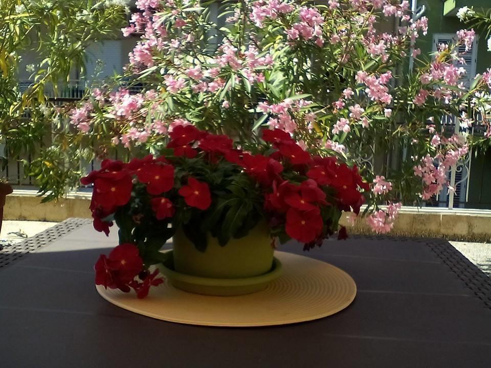Il Terrazzo Di Oleandri Apartment Bagheria Room photo